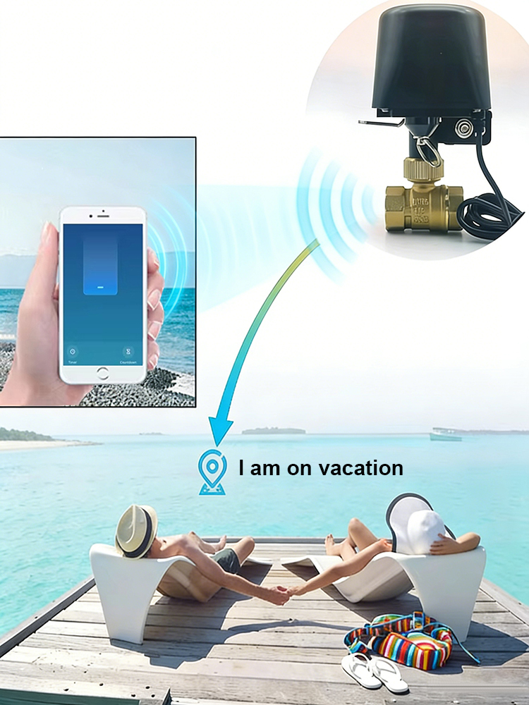 Tuya Smart Water Valve​ DN15/D - Smart Garden Home Assistant review and price