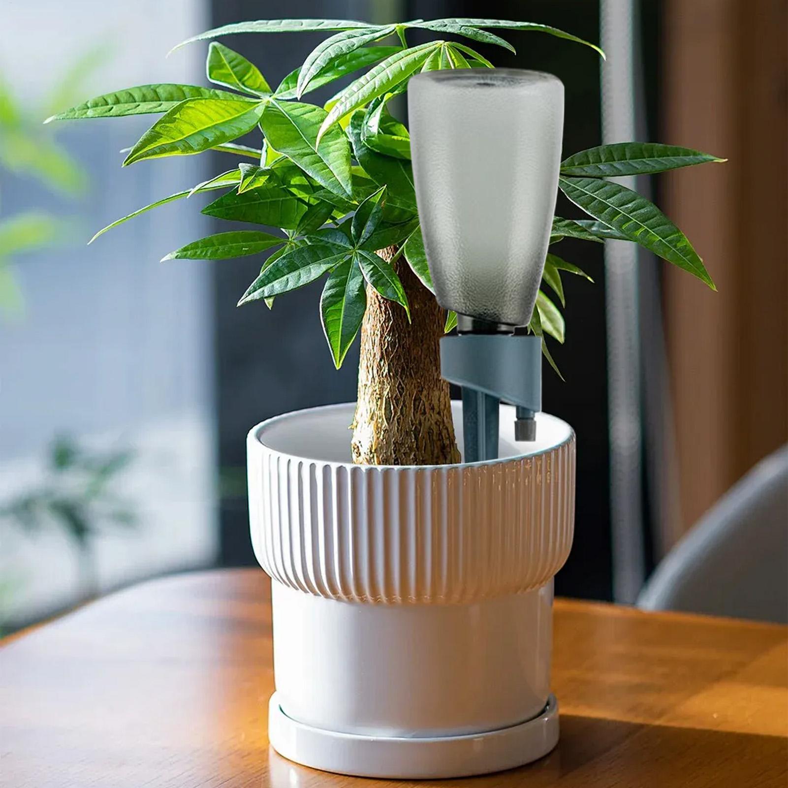 6pcs Automatic Waterer Househo - Yoocaa Smart Garden review and price