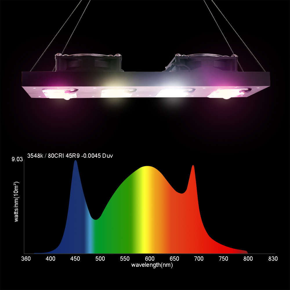 LED Plant Grow Light 1000W/200 - Led Plant Light Strip review and price