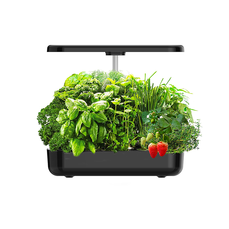 12 Pods Smart Hydroponic Grow  - Smart Pod Garden review and price