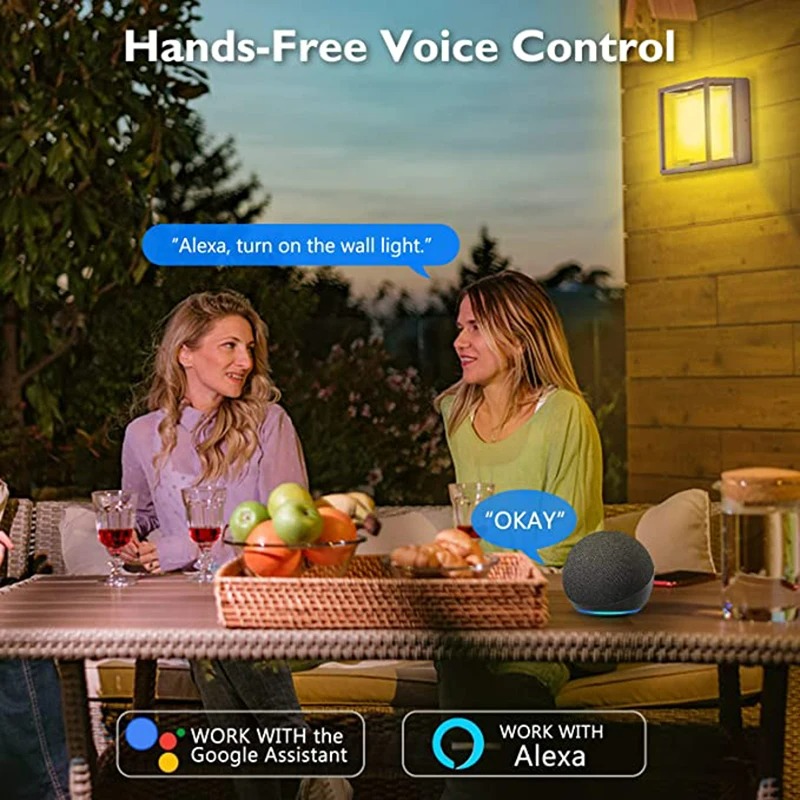 Tuya Smart WiFi/ZigBee Wall Li - Smart Zigbee Garden Light review and price