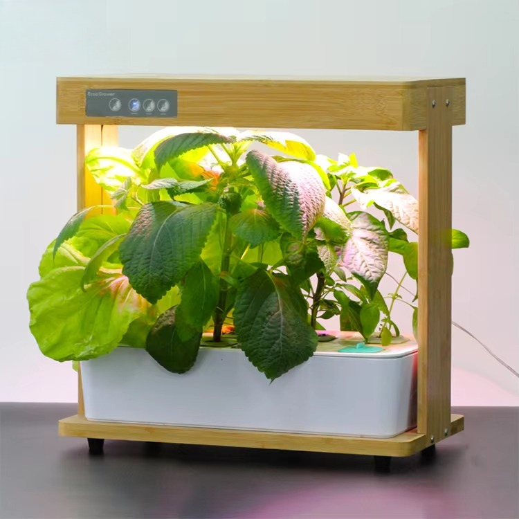 Bamboo Nature 8 Pods Home Hydr - Smart Pod Garden review and price