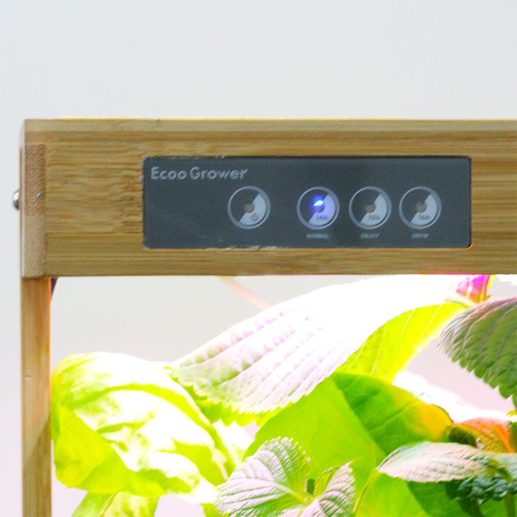 Bamboo Nature 8 Pods Home Hydr - Smart Pod Garden review and price