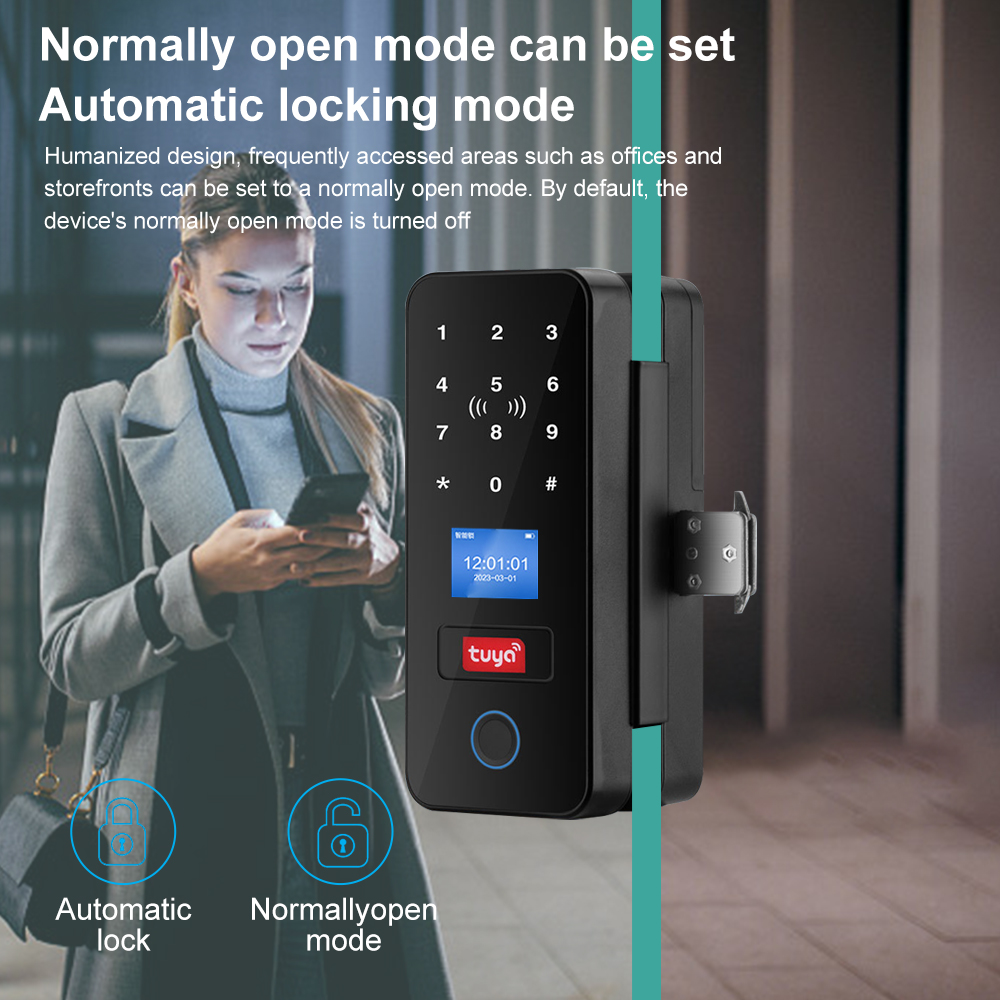 Double Hook Smart Glass Door L - Smart Garden Gate Lock review and price