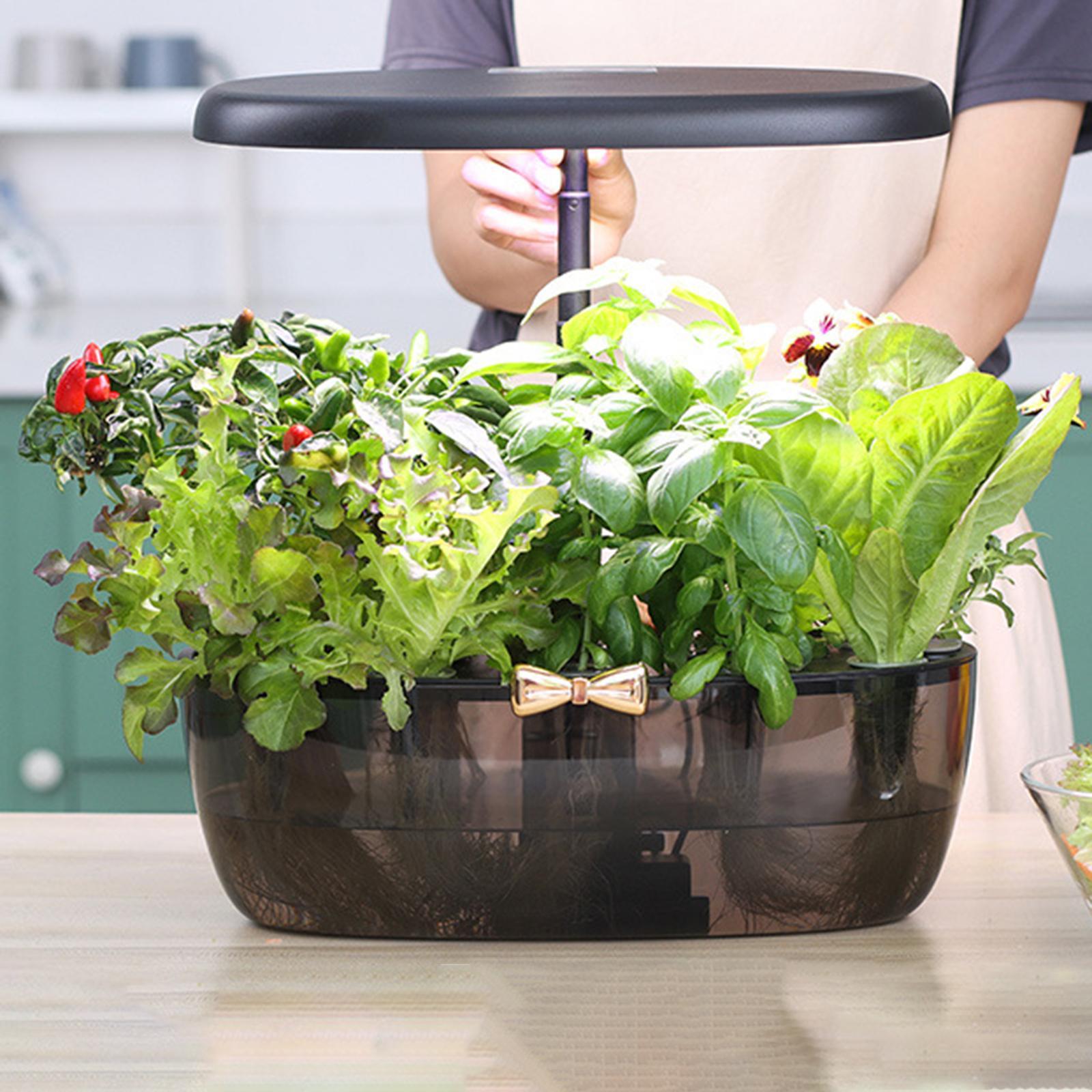 Hydroponics Growing Machine Li - Smart Pod Garden review and price
