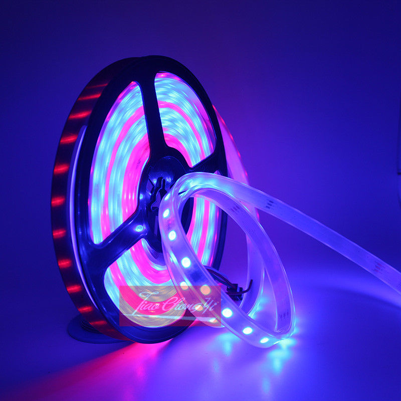 DC12V 5M Chasing Dream Magic C - Smart Garden Diy review and price