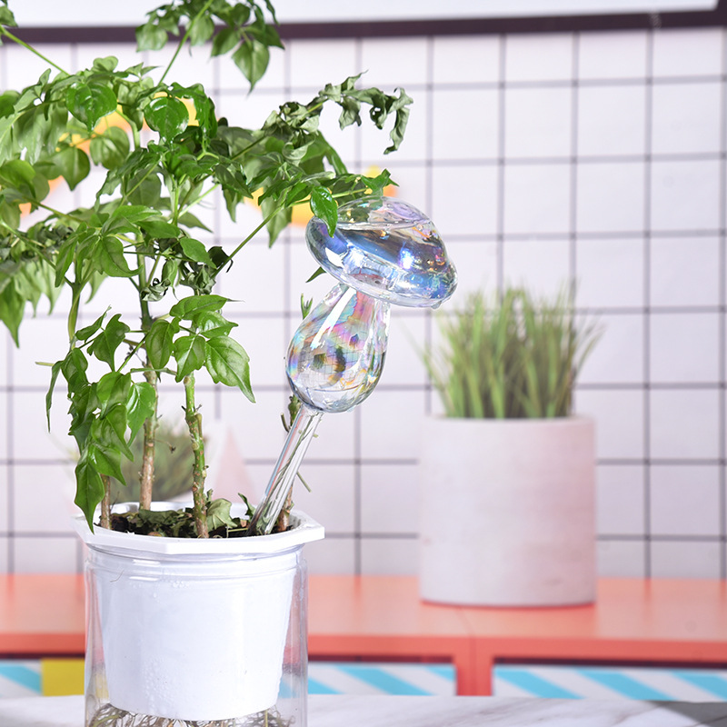 1/2PCS Glass Straw Automatic P - Yoocaa Smart Garden review and price
