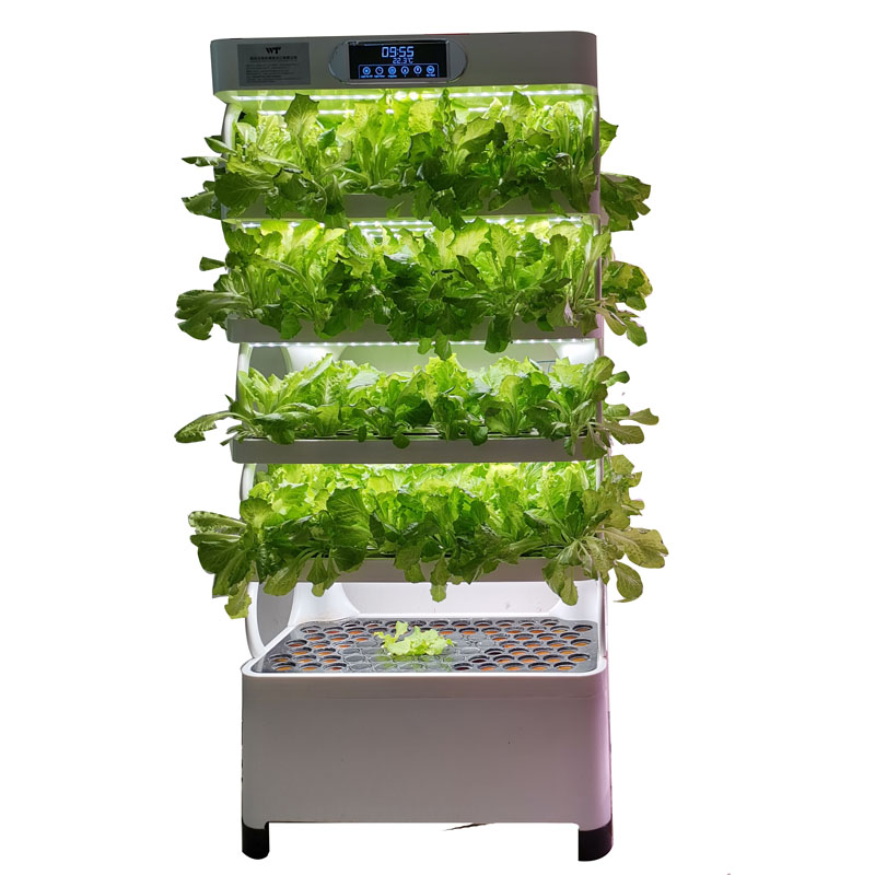 Indoor Smart Low Cost Hydropon - Smart Garden System review and price