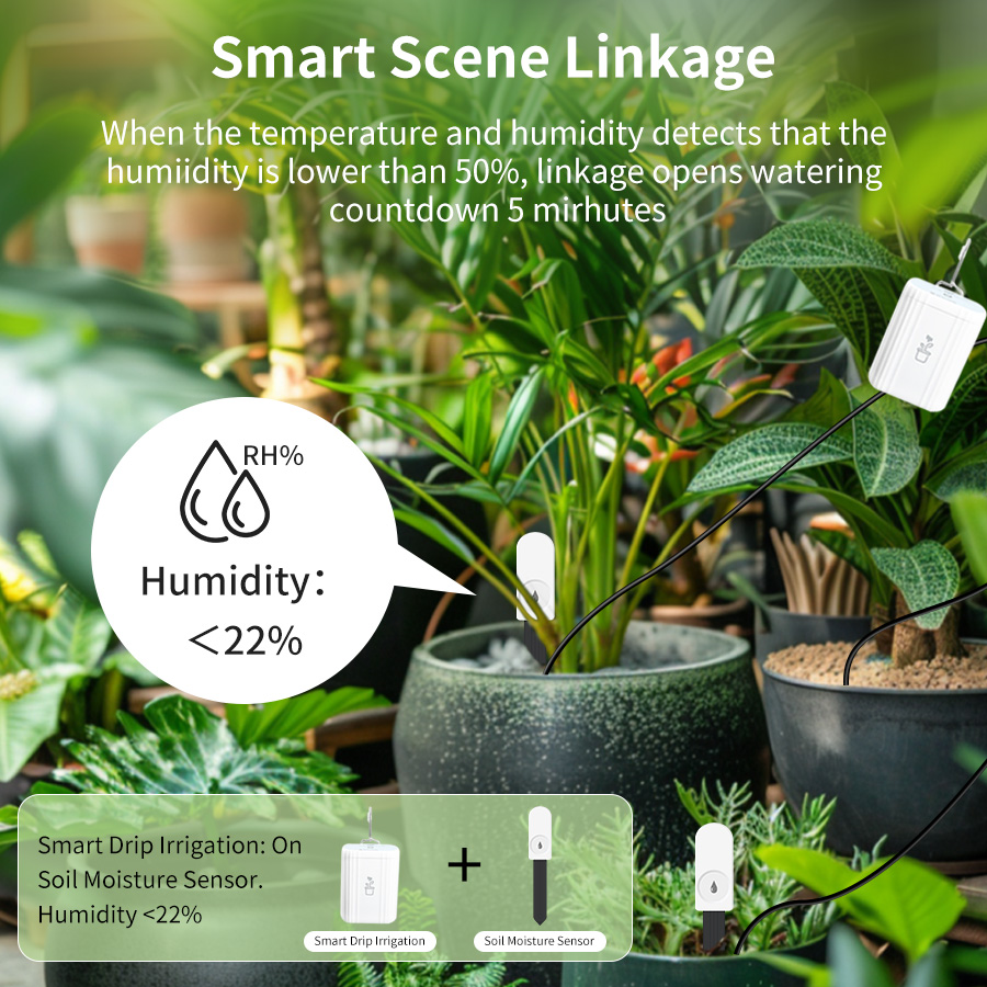 ZigBee Smart Soil Moisture Sen - Smart Garden Home Assistant review and price