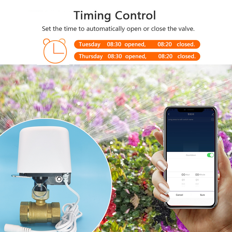 Smart Tuya WiFi Zigbee Water V - Smart Garden Home Assistant review and price