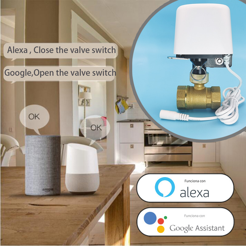 Smart Tuya WiFi Zigbee Water V - Smart Garden Home Assistant review and price