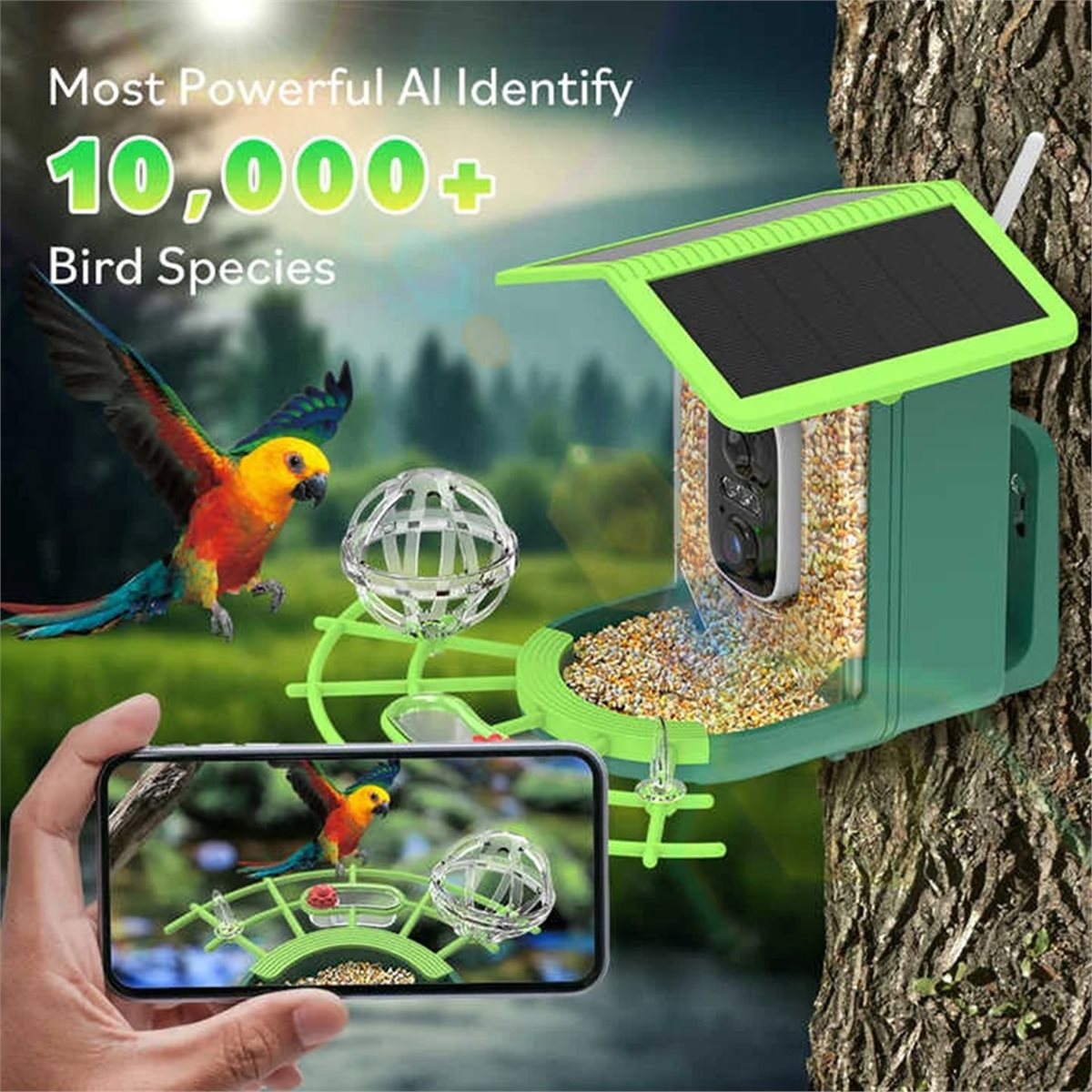 ABPP Smart Bird Feeder Camera  - Smart Garden Video review and price