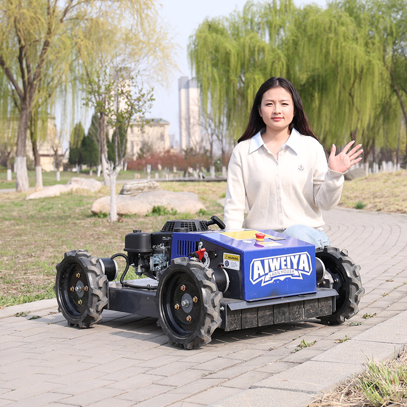 Customized Automatic Robot Law - Smart Garden Trimmer review and price