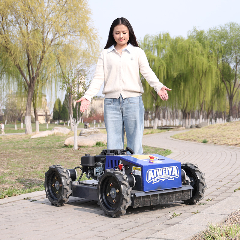 Customized Automatic Robot Law - Smart Garden Trimmer review and price