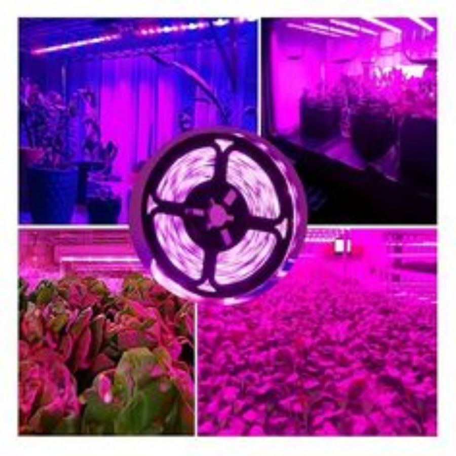 1M/2M/3M/5M/10M LED Full Spect - Led Plant Light Strip review and price