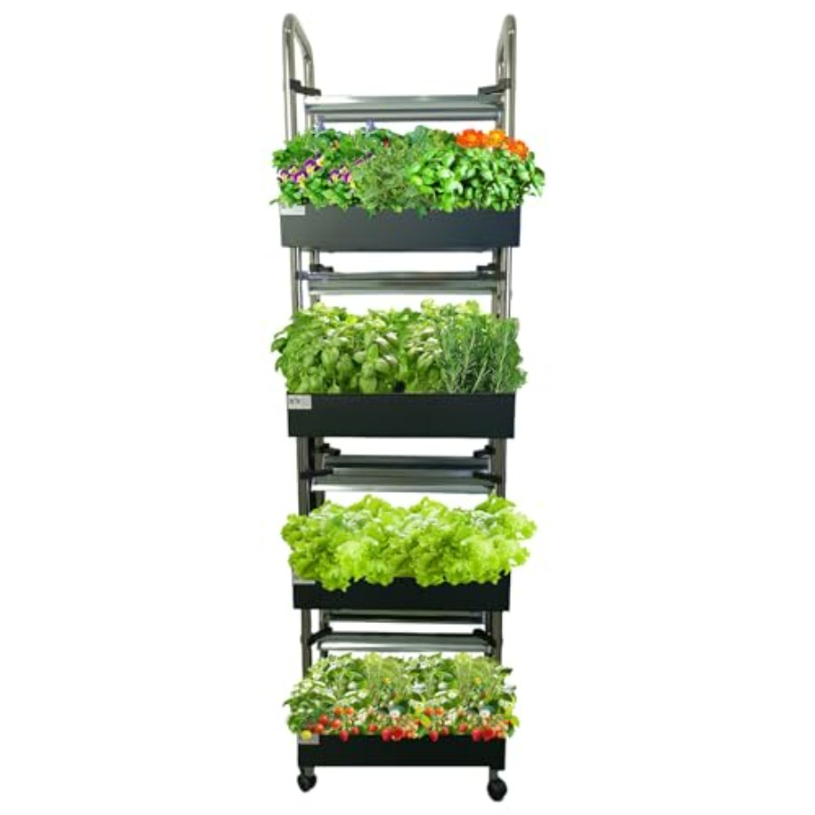 Indoor hydroponics growing sys - Smart Garden System review and price