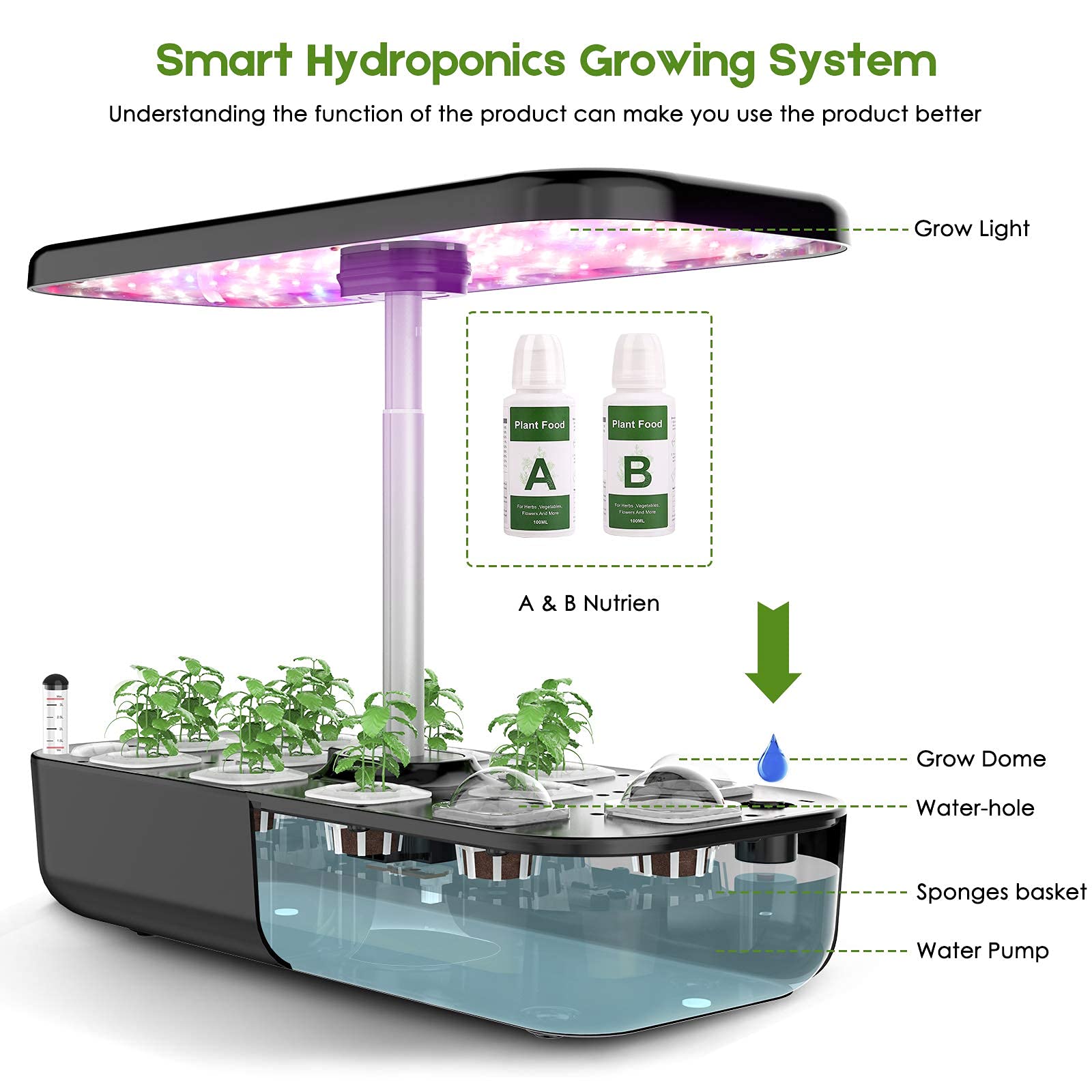 Hydroponics Growing System 12  - Smart Pod Garden review and price