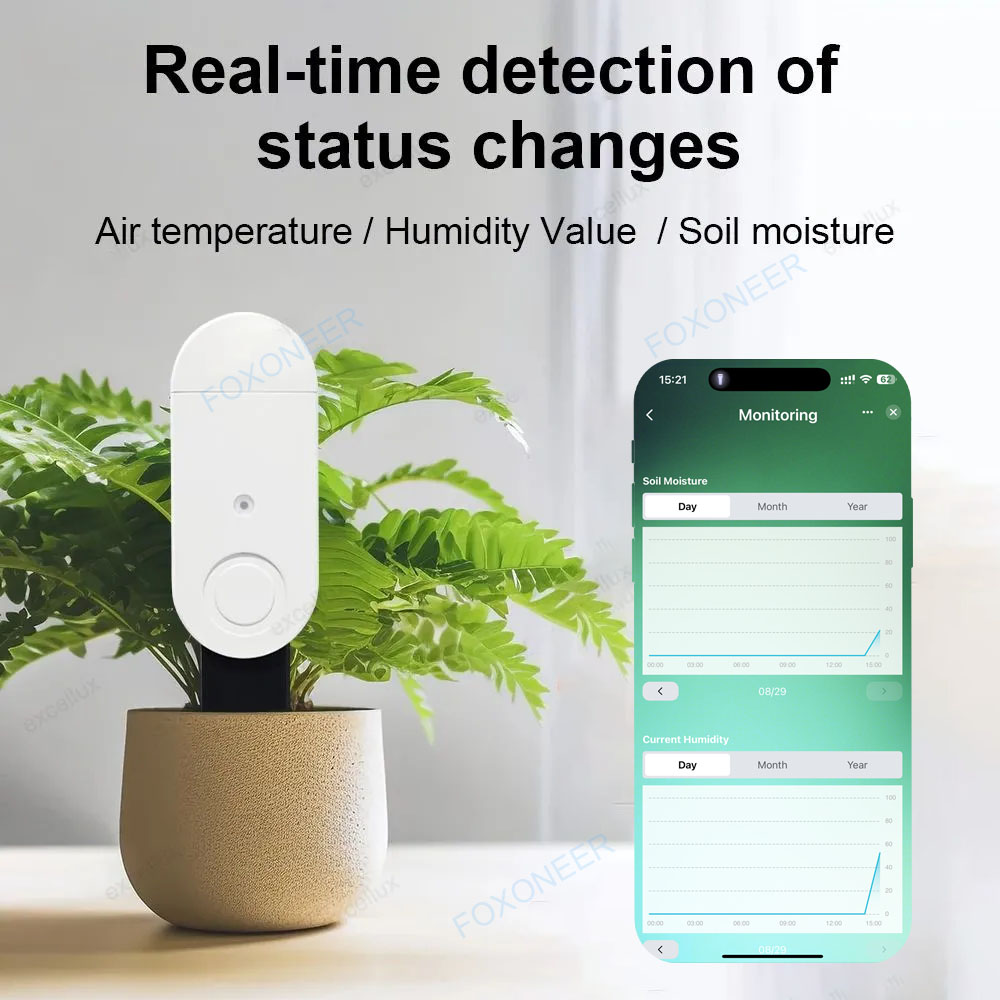 Zigbee 3.0 Smart Soil Tester L - Smart Garden Home Assistant review and price
